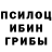 Галлюциногенные грибы Psilocybine cubensis aida bektursunva