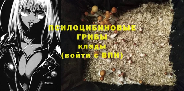мдпв Магадан