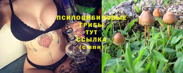стафф Майский