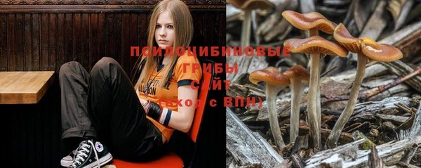 стафф Майский