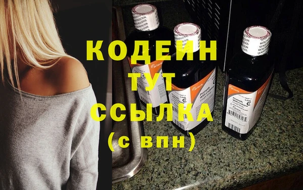 стафф Майский