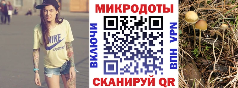 блэк спрут сайт  Кимры  Псилоцибиновые грибы мицелий 
