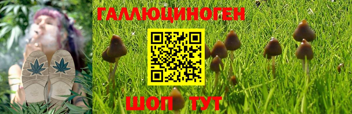 Кимры  Псилоцибиновые грибы Magic Shrooms  Вход с VPN 